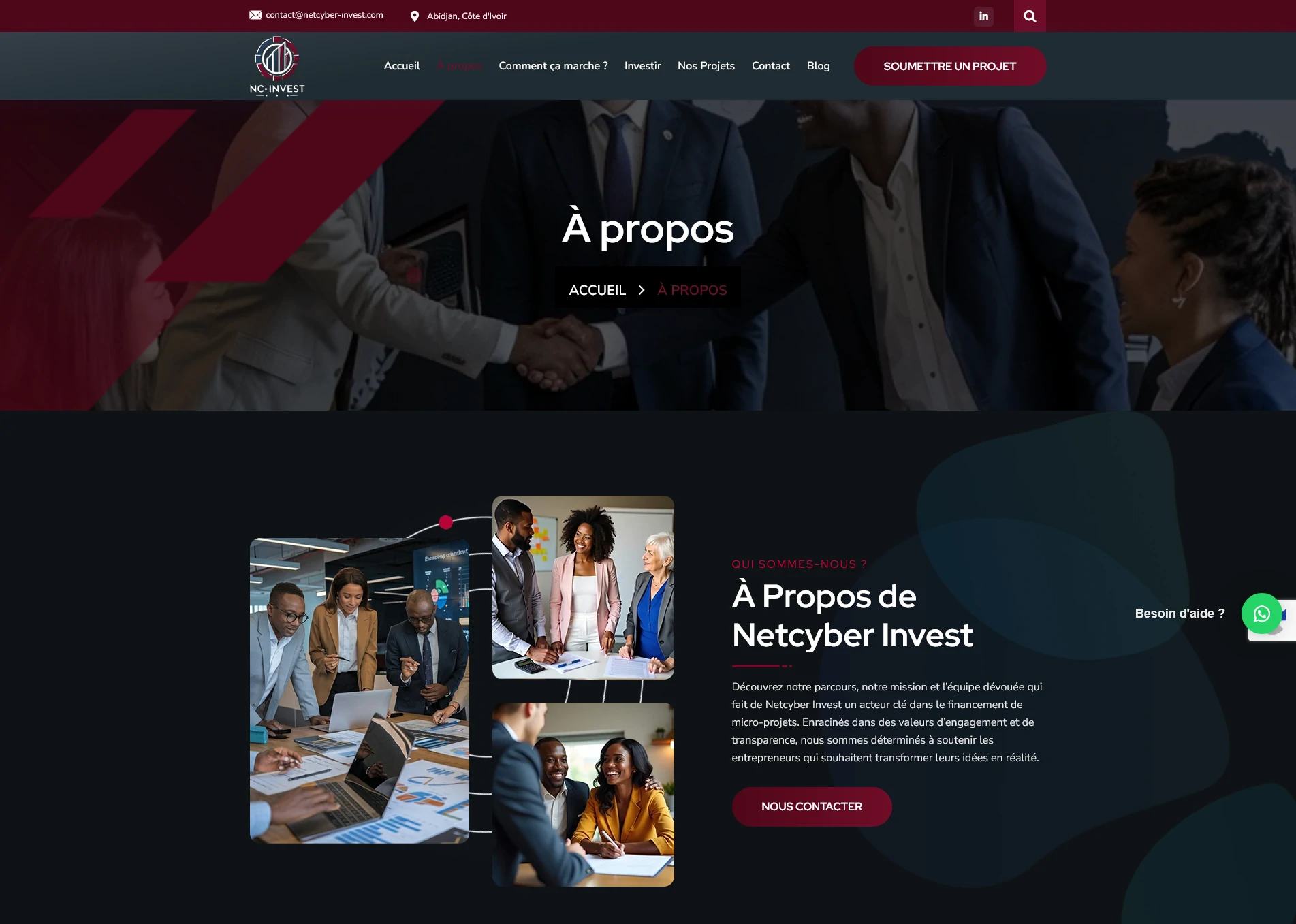 plateforme investissement micro-projets Netcyber Inves
